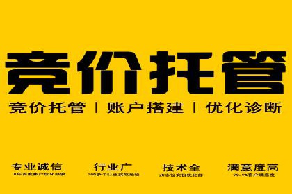 案例解析：百度推广排名提升的实战技巧